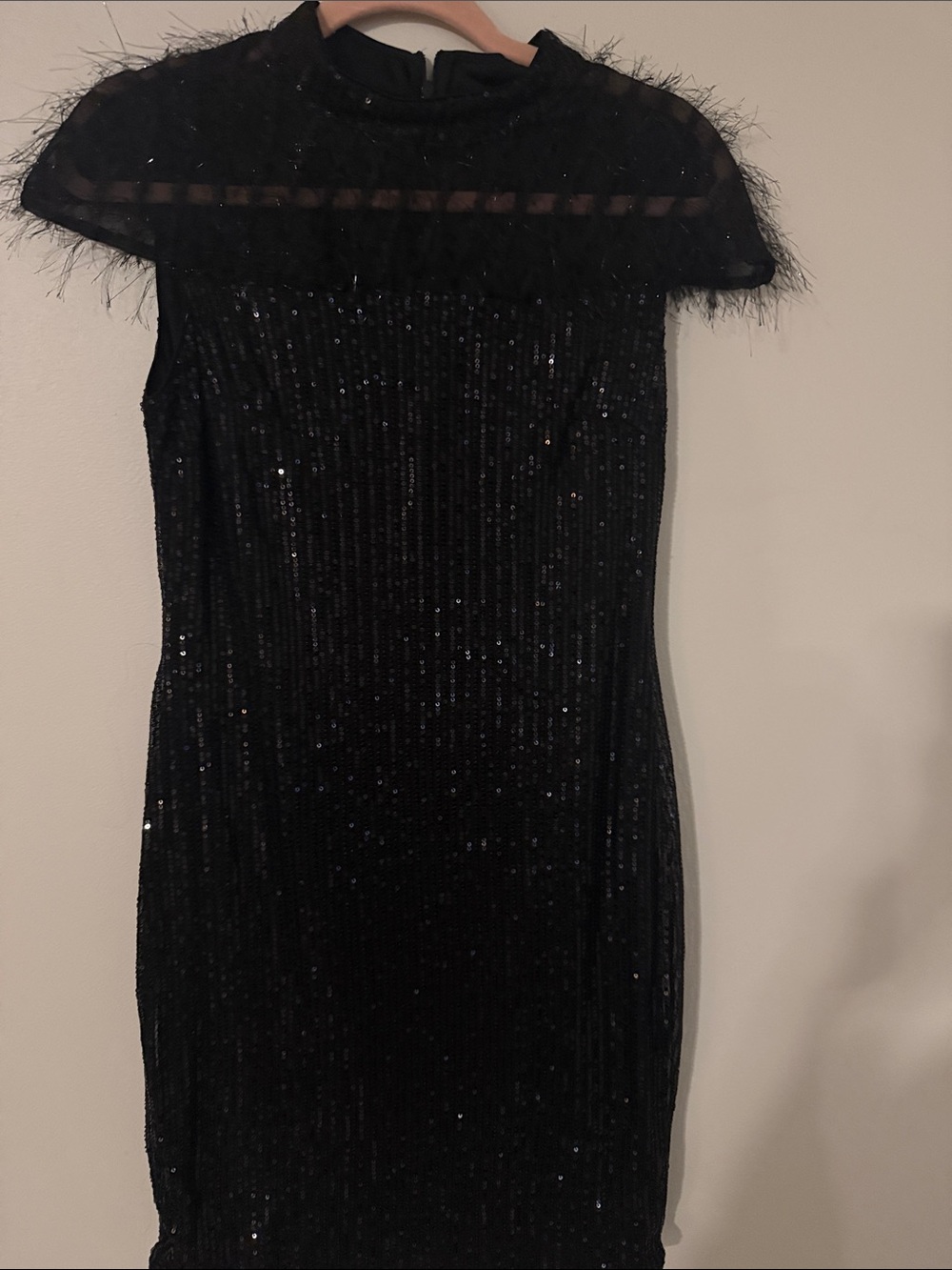 Black Sequin Feather-Trim Sheath Dress